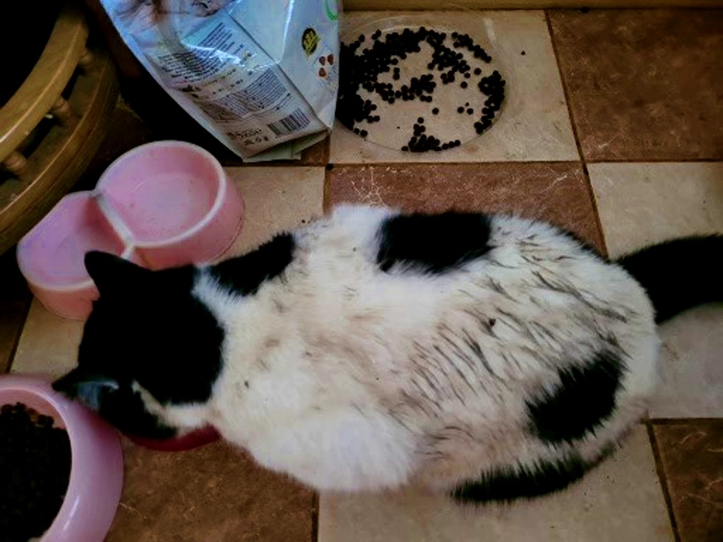 Грязнула Макс))) Хорошо повалялся)))