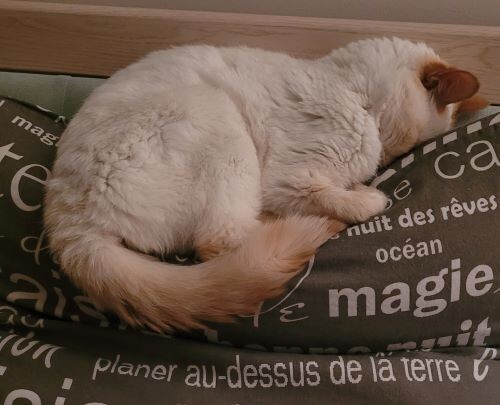 Тревожно, но мягенько... в самый раз