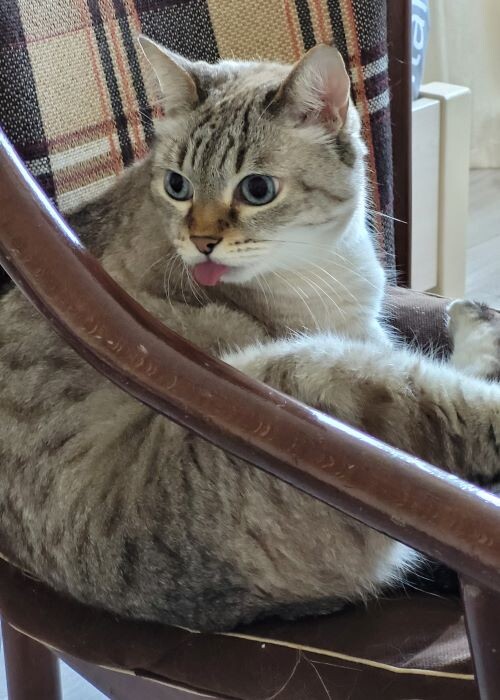 Бе-бе-бе, ясно?!