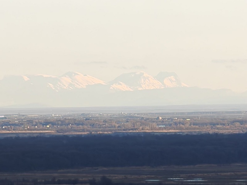    Фото: Юрий Серебренников/BFM Кубань