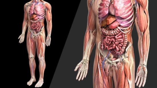 Фото: Яндекс картинки