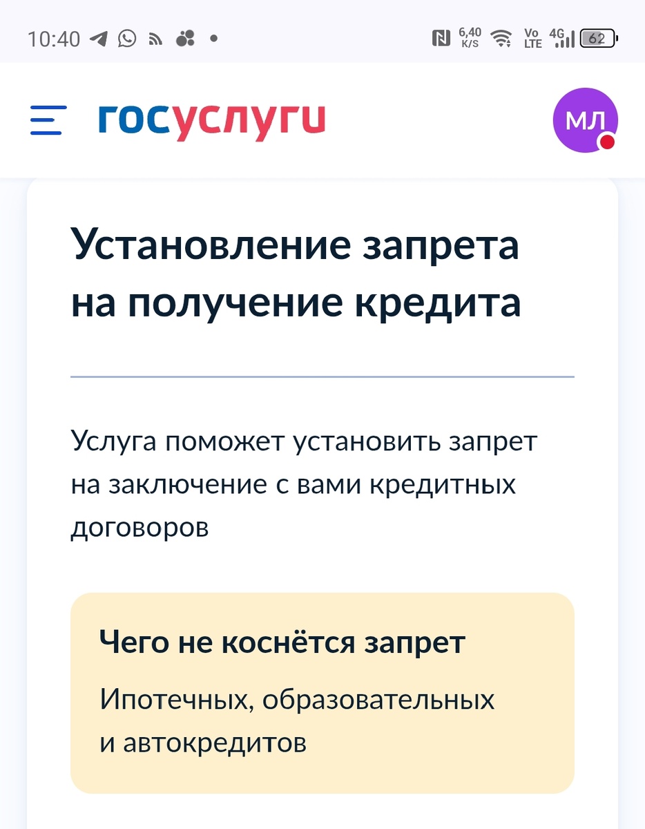 Скриншот 1 — информация по самозапреты на кредиты