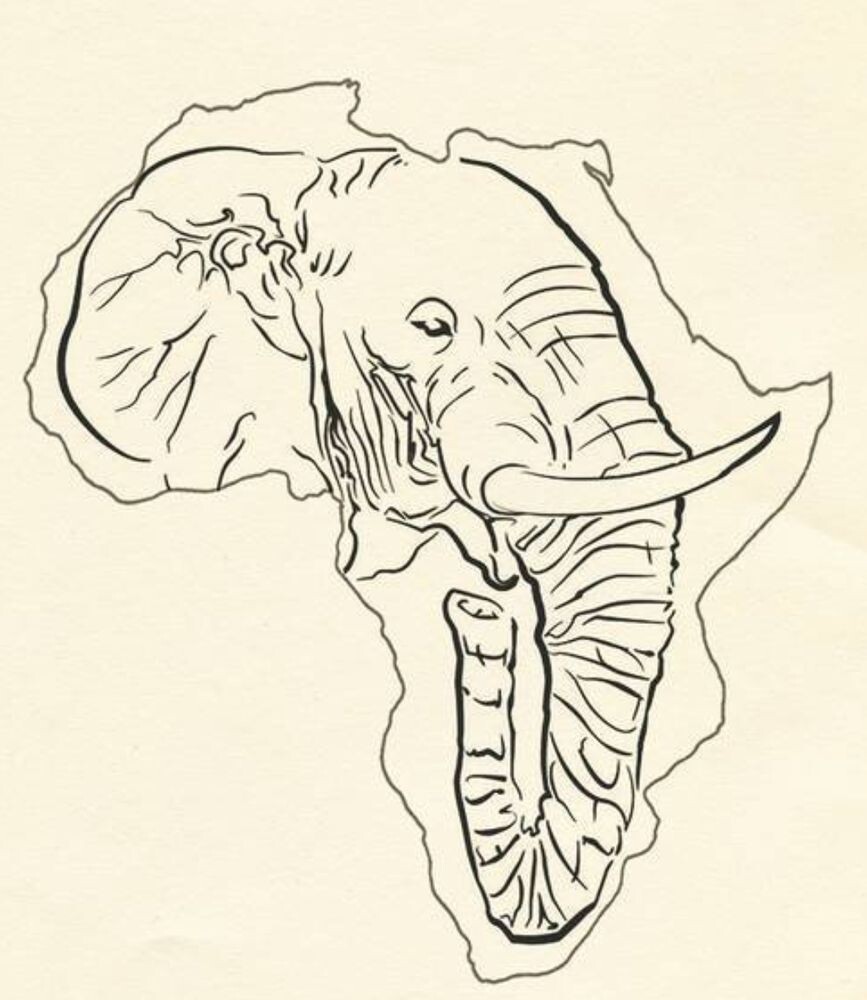 Рисунок из книги