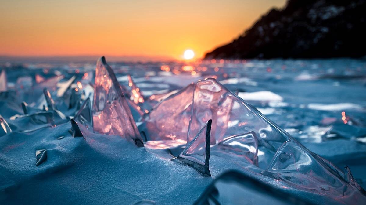    Фото: Shutterstock