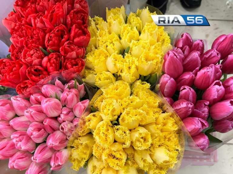    В Оренбурге к 8 марта тюльпаны в этом году подорожали на 50 рублей Андрей Севостьянов