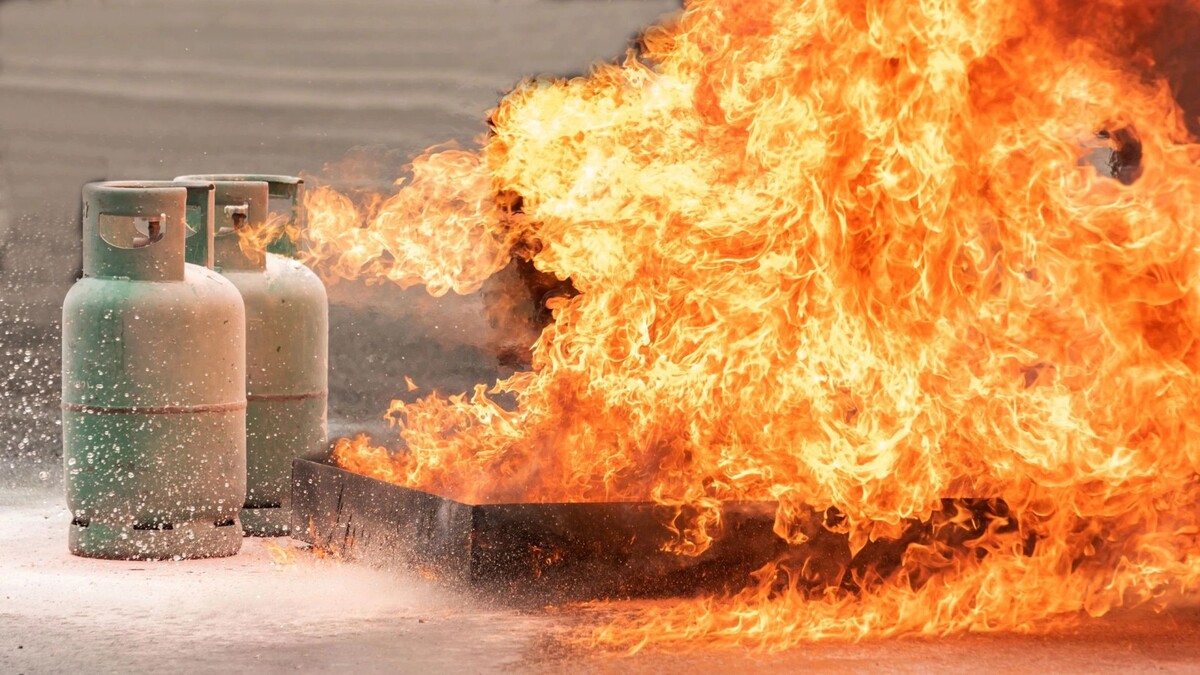    Фото: APChanel/Shutterstock/Fotodom