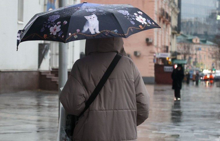    Наталья Шатохина/NEWS.ru