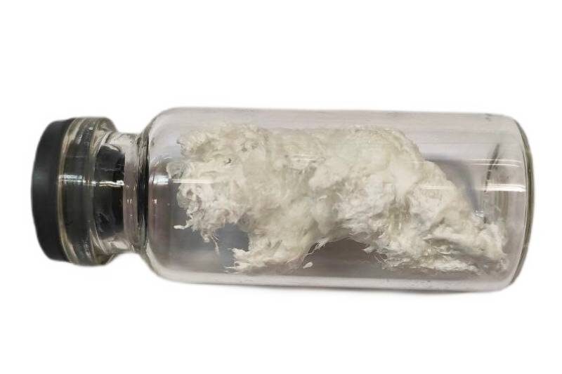 Фотография объекта исследования. Источник: Андрей Козлов