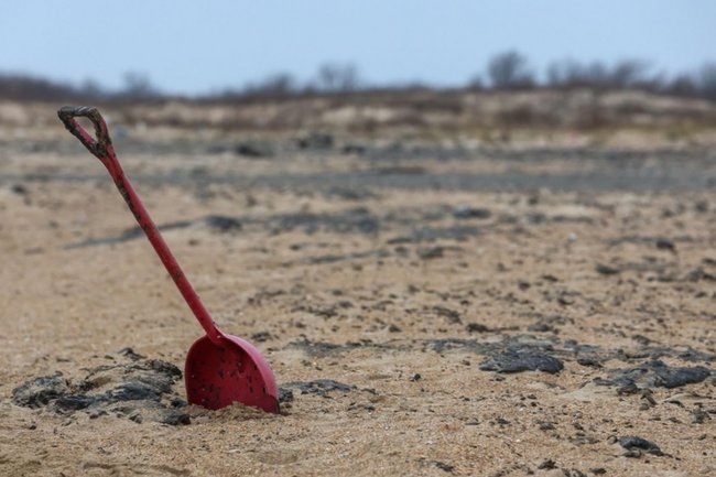    Эколог указал на главную угрозу для курортного сезона в Анапе