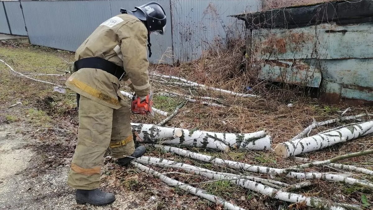     Автор: 71.mchs.gov.ru