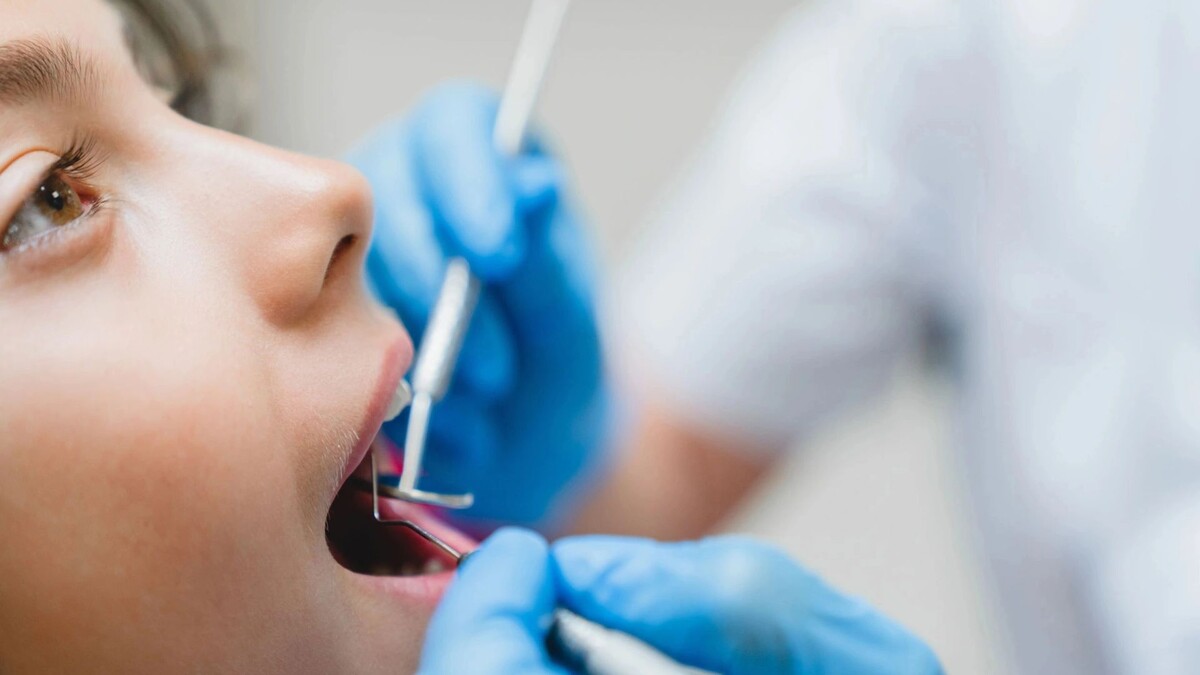    Фото: Inside Creative House/Shutterstock/Fotodom