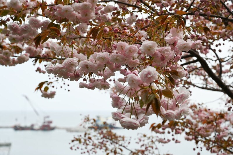 Фото: Гала Амарандо