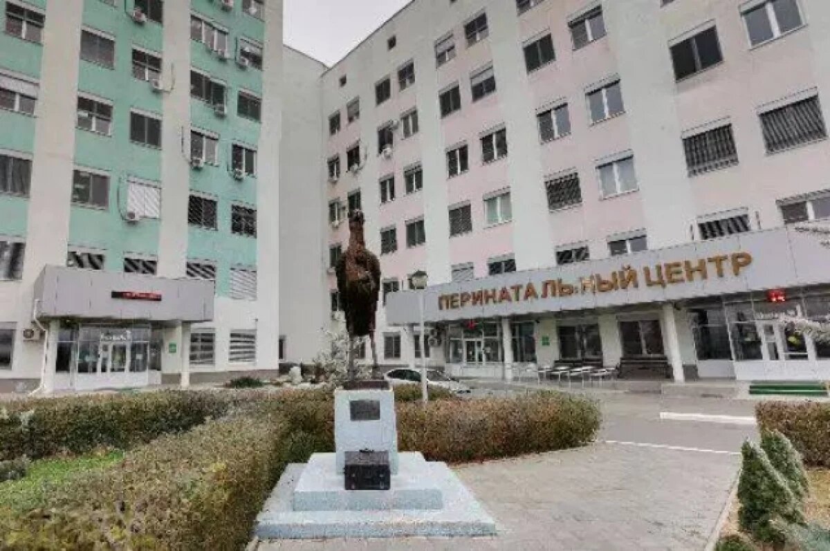    В перинатальном центре Волгограда запретили партнерские роды