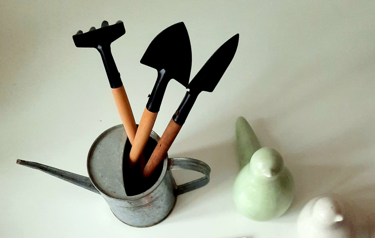 Фото автора.