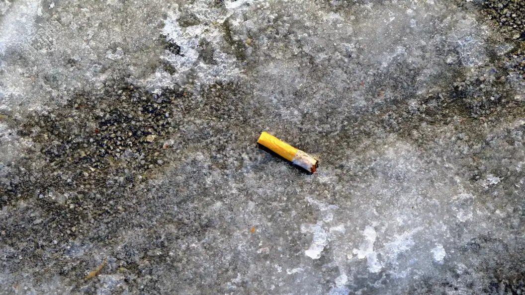    Eric Lalmand/Keystone Press Agency/Globallookpress