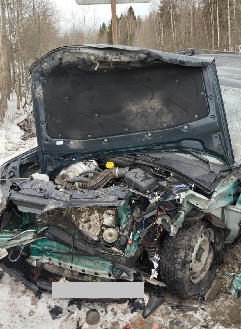    Фото: ГАИ Петрозаводска