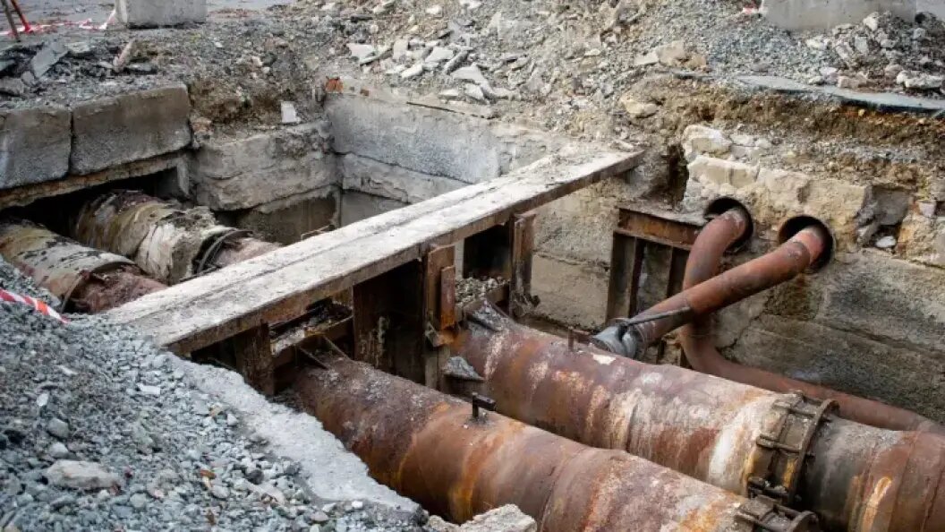    Фото: KSENI_PHOTOGRAPHER/SHUTTERSTOCK.COM