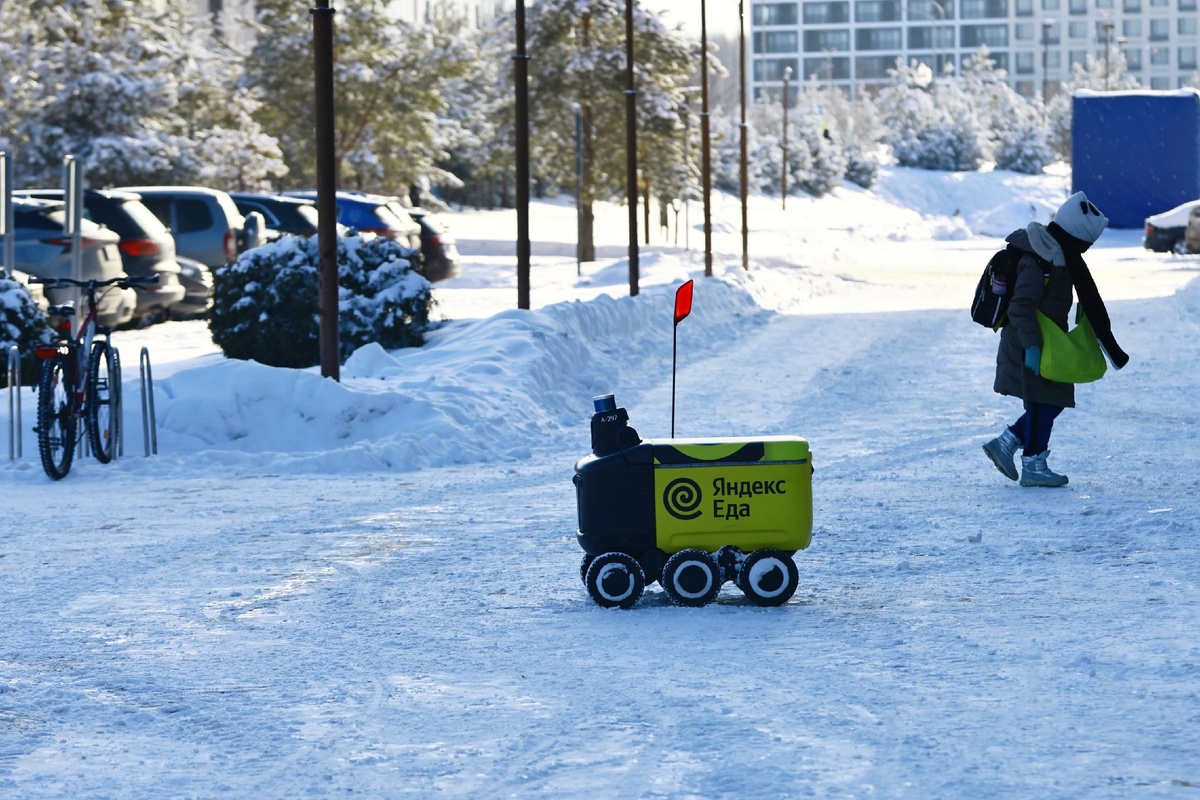 Автор фото: Павел Хацаюк / ИД «Вечерняя Казань»