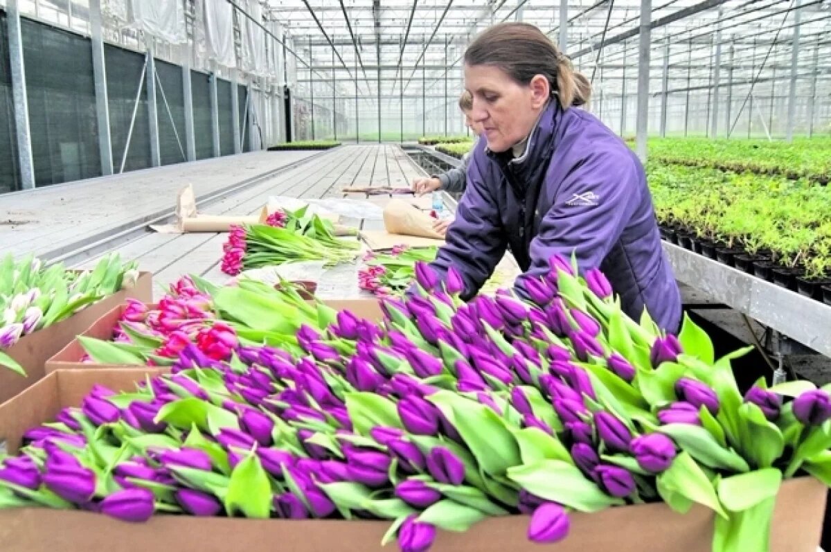    «Работаем ради одного дня».