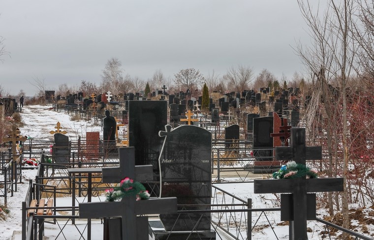    Наталья Шатохина/NEWS.ru