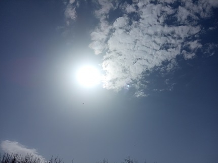 Фотография из личного архива автора