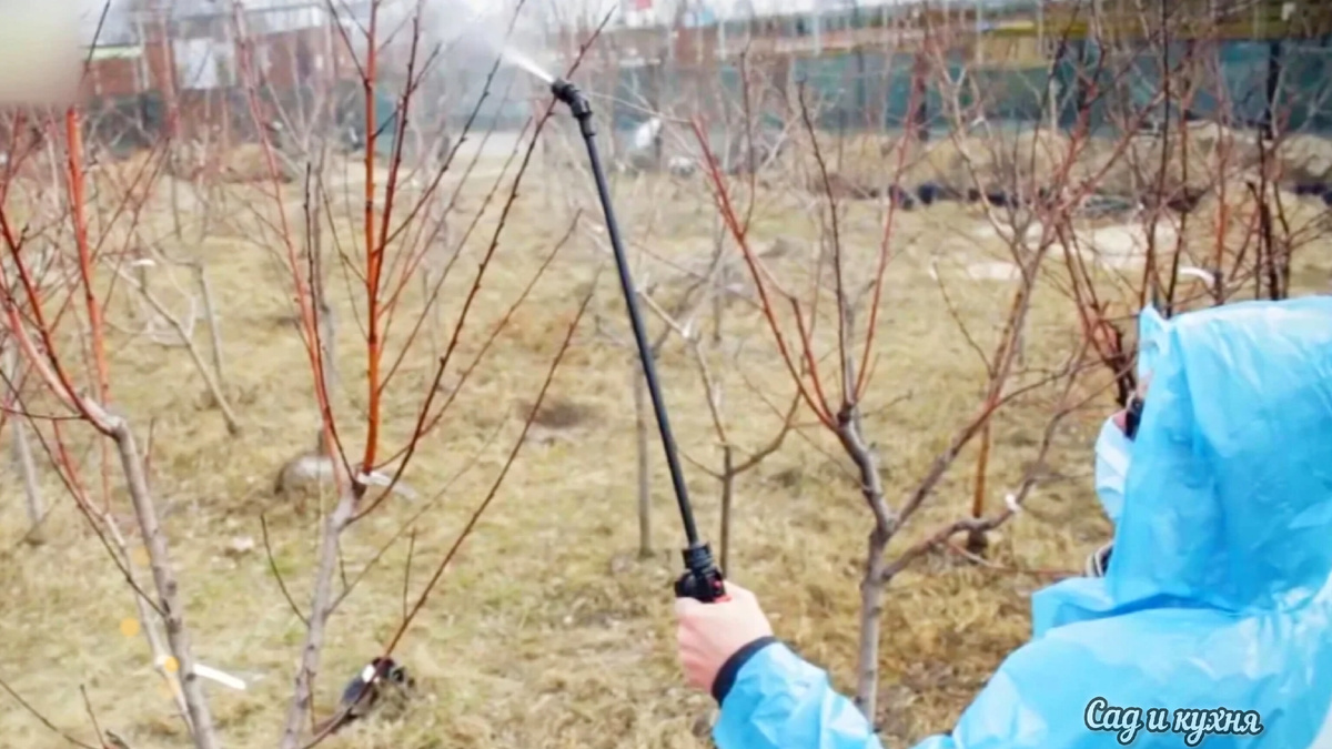 Обработка сада.