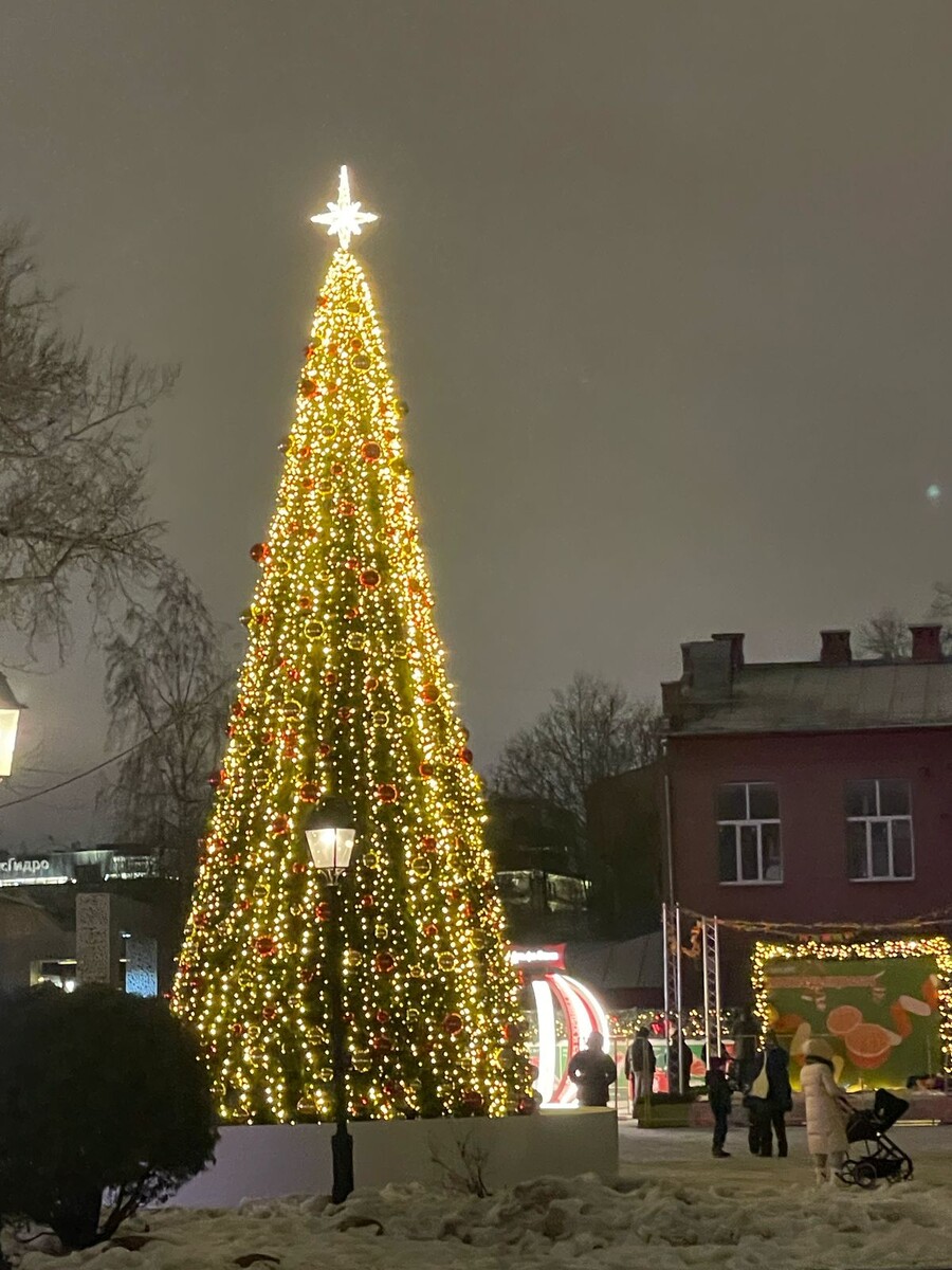 Каток в Саду Эрмитаж © "Покажу Москву"