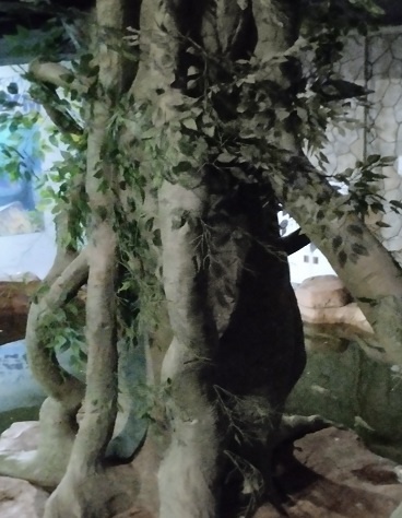 Фотография из личного архива автора