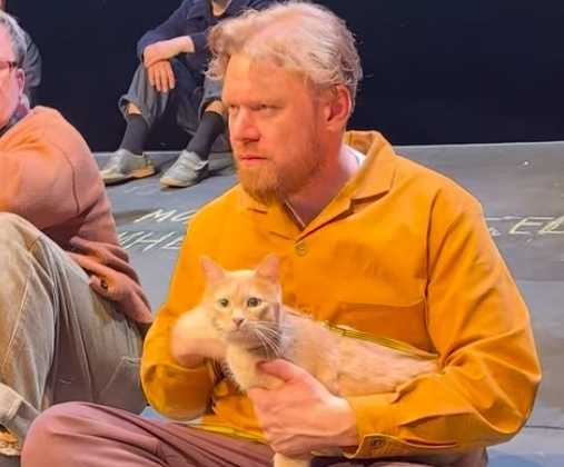     Фото: скриншот с видео