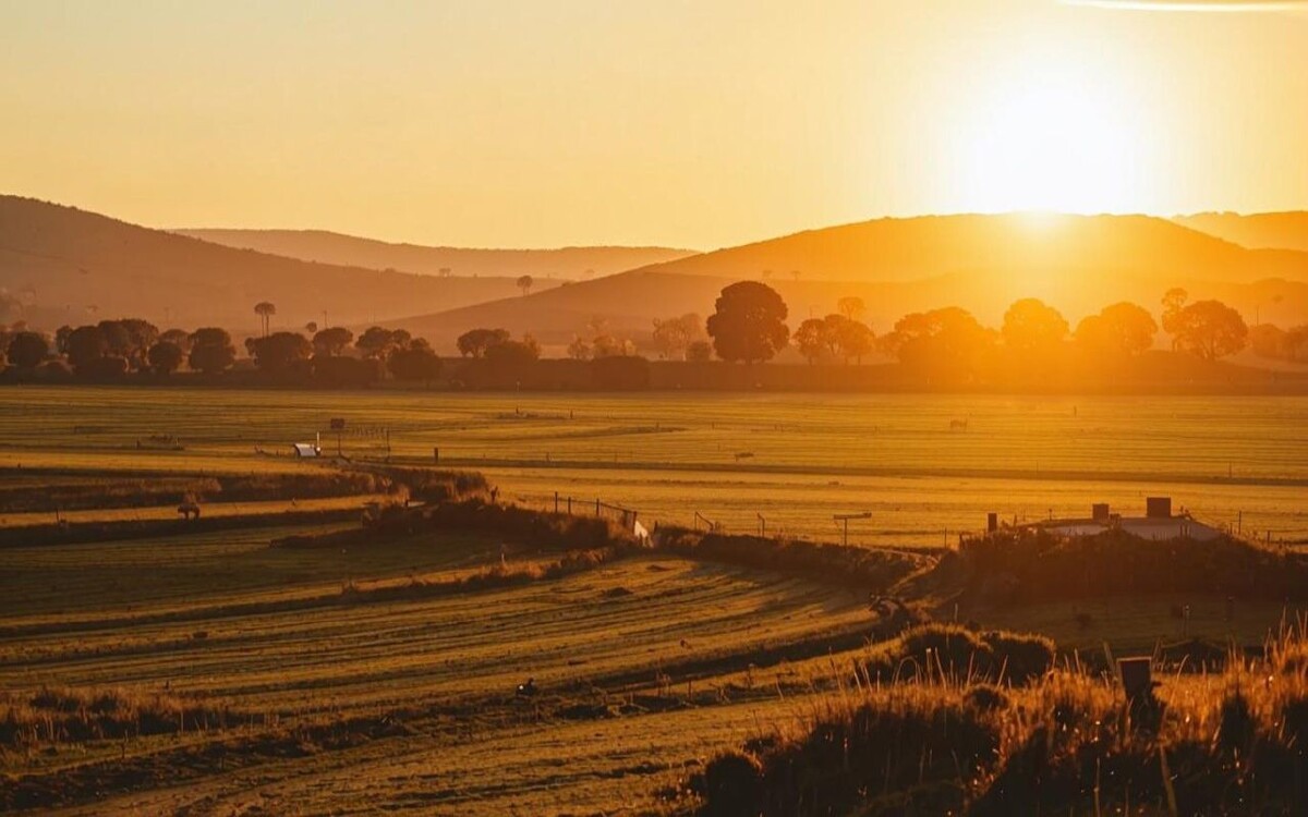    Три участка земли Липецкой ипотечной корпорации выкуплены за 22 млн рублей сгенерировано нейросетью Kandinsky