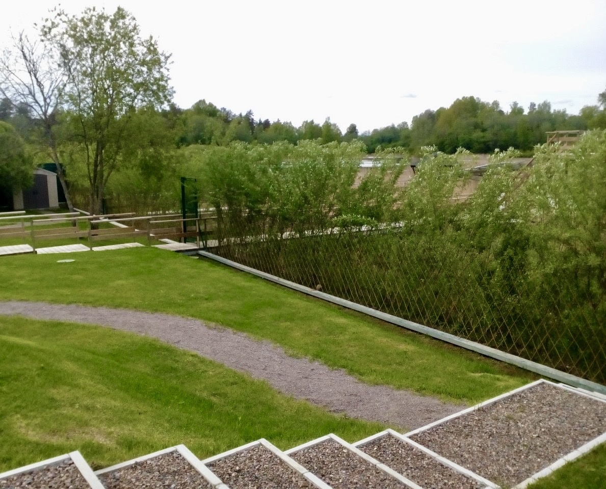 Сегодня мы расскажем, почему живой забор из ивы — это не только красиво, но и практично! 
С нашей компанией Павива вы можете быть уверены, что ваш зеленый забор будет расти и развиваться на протяжении многих лет! 