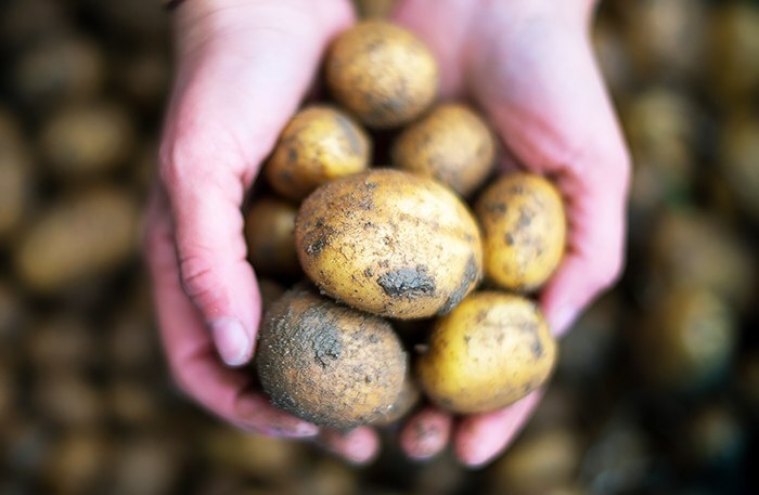    Фото: dpa/picture-alliance/ТАСС