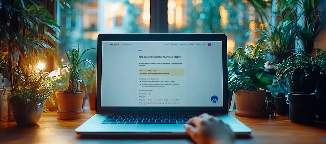 Как поставить самозапрет на кредиты через «Госуслуги»: пошаговая инструкция
