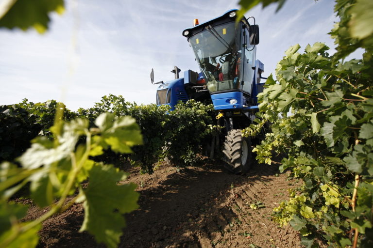    Фото: mcx.gov.ru Ксения Евдокимова