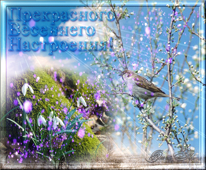 Из интернета для хорошего настроения 💖