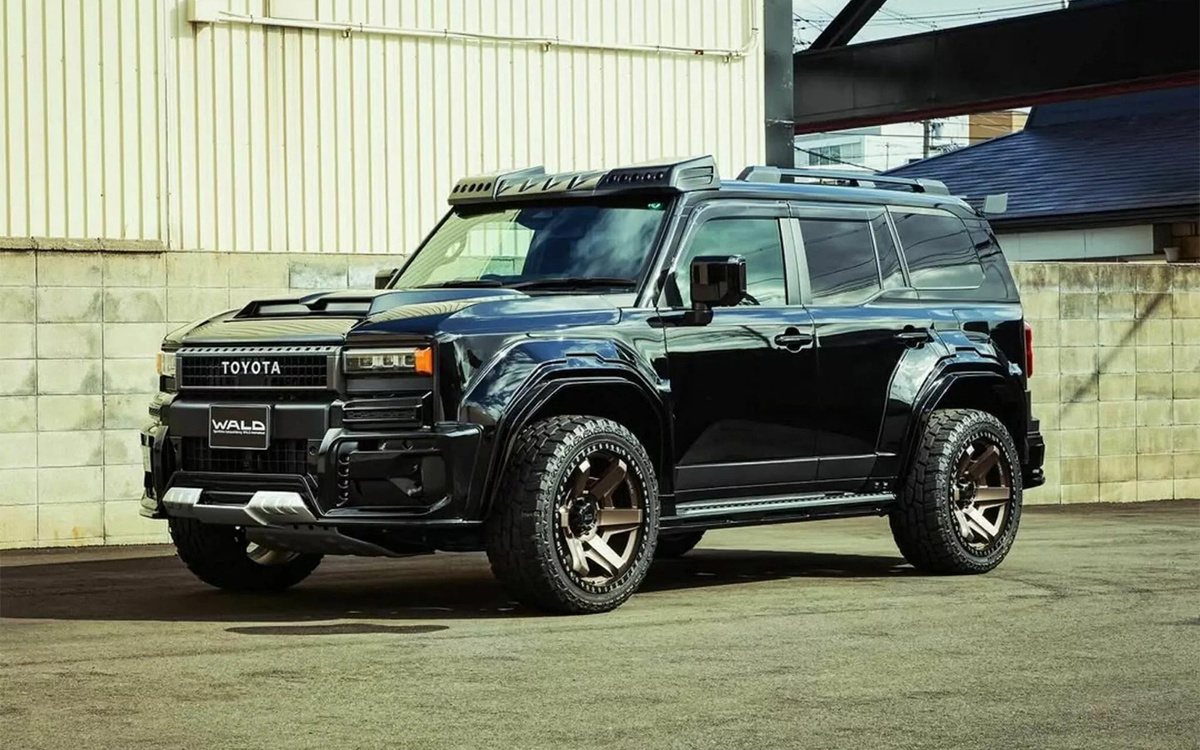 Фото: Wald International  📷
