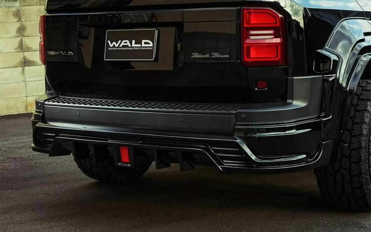 Фото: Wald International  📷
