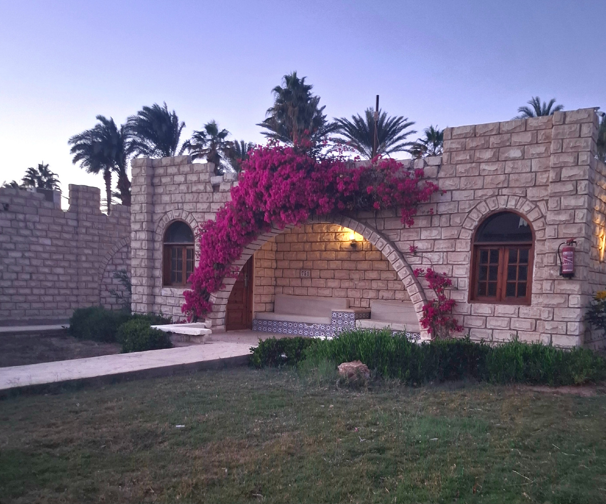 Домики снаружи ухоженные и все в зелени и цветах