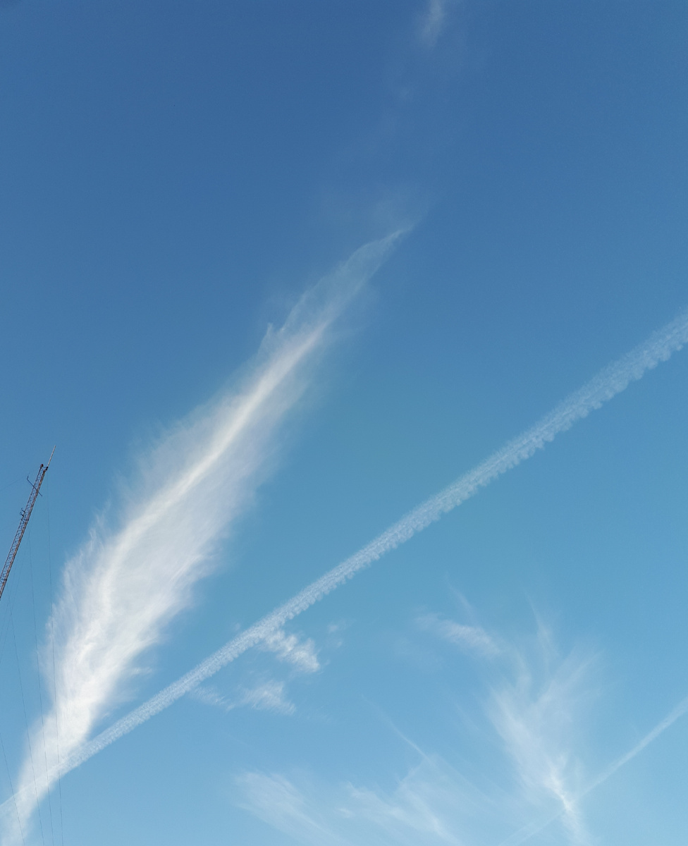 ЛИЧНОЕ ФОТО.