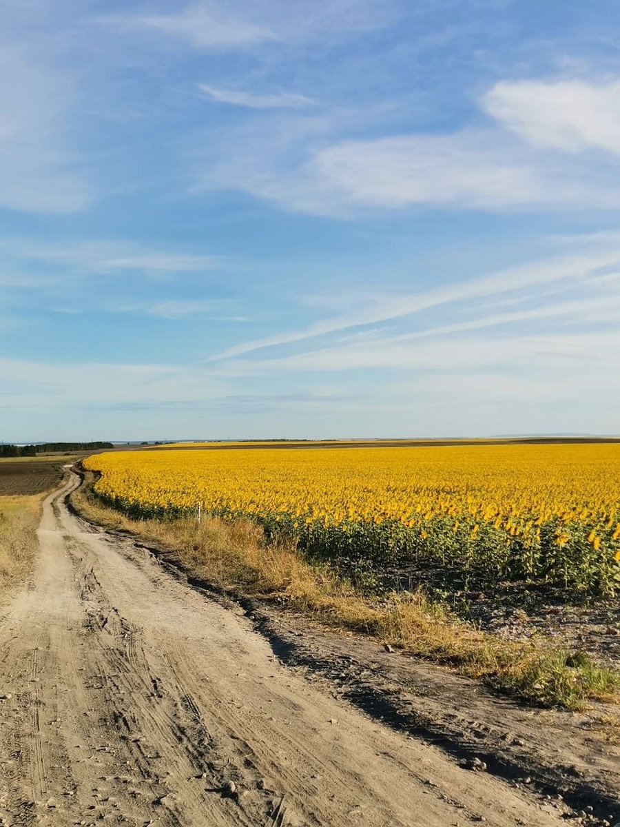    фотобанк samaraonline24