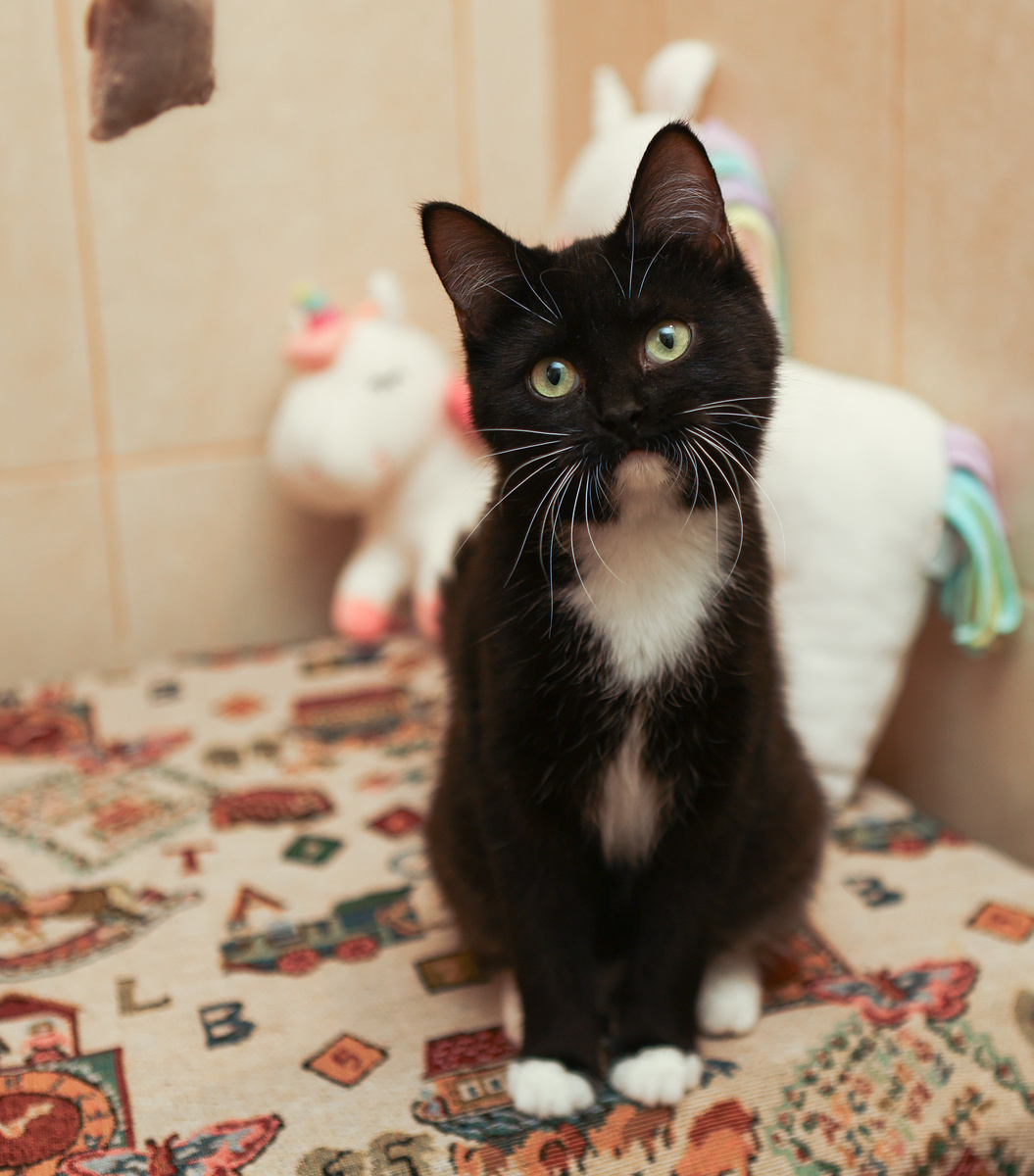 Здравствуйте друзья! А вот и Я!