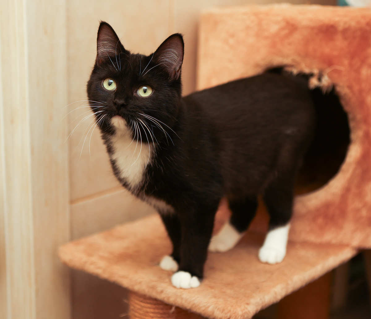 А что разве надо всего бояться?