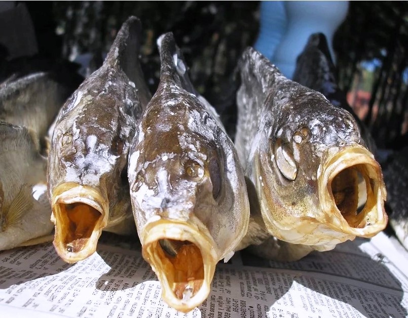 картинка взята из открытых источников.