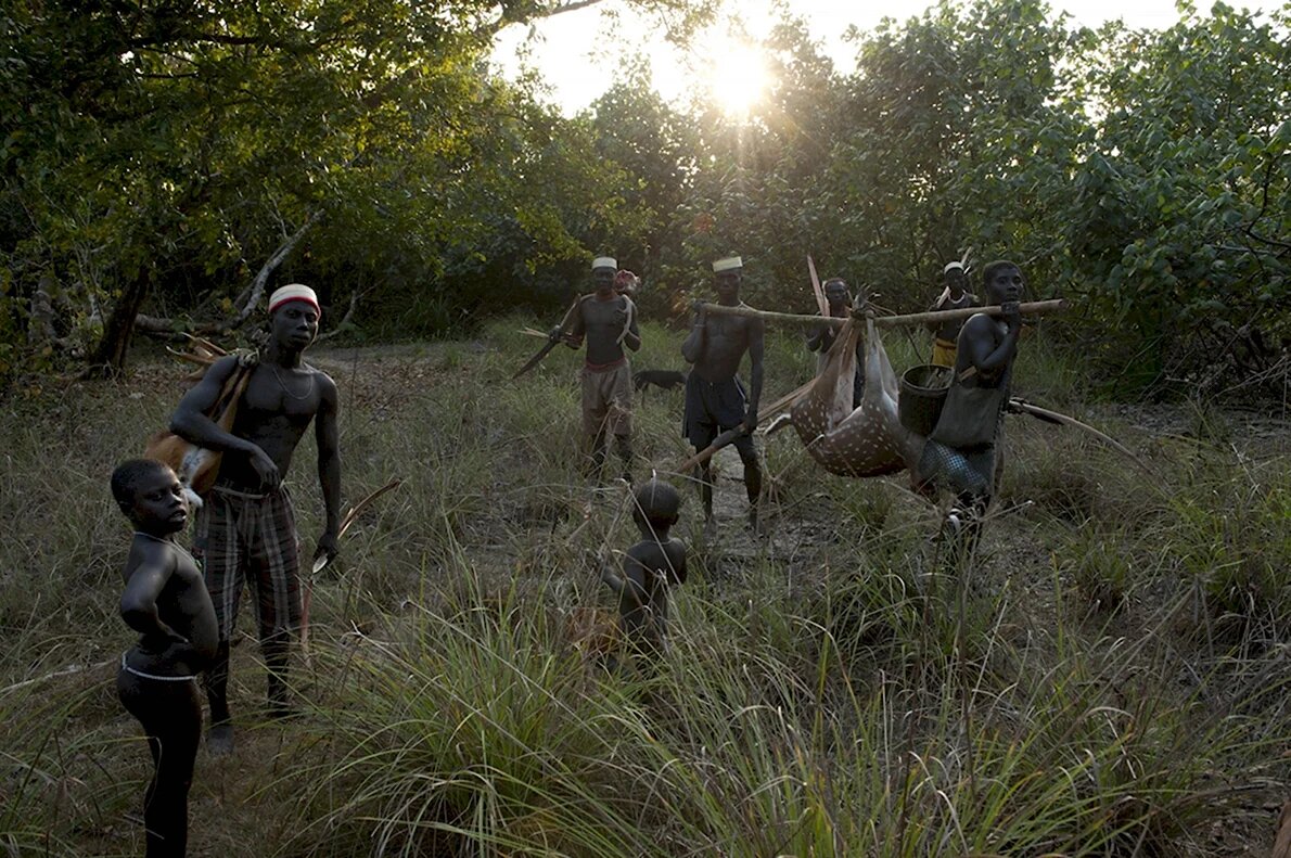 Источник: https://ybis.ru/kartinki/sentineltsy