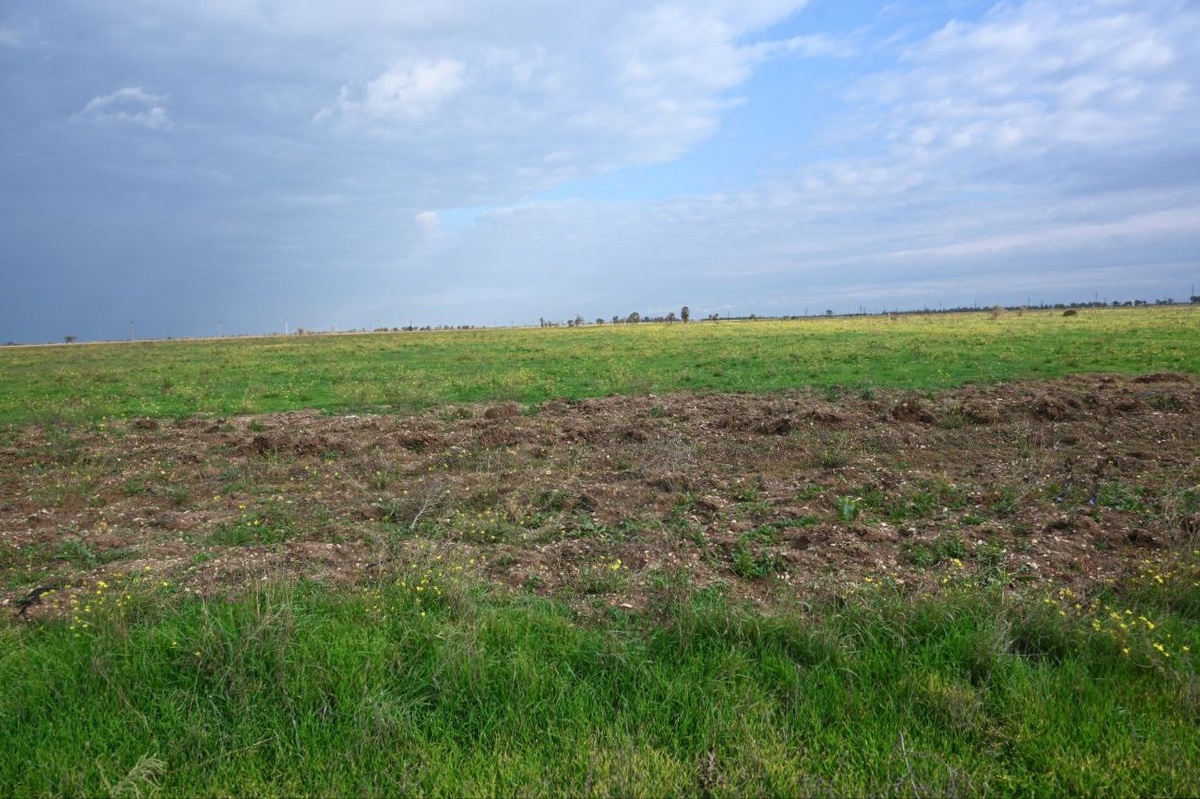 Фото: Гала Амарандо