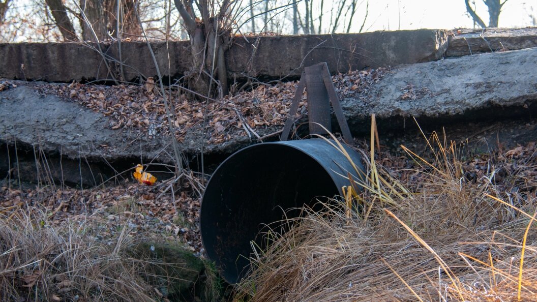    Фото: Svetlana Vozmilova/Globallookpress