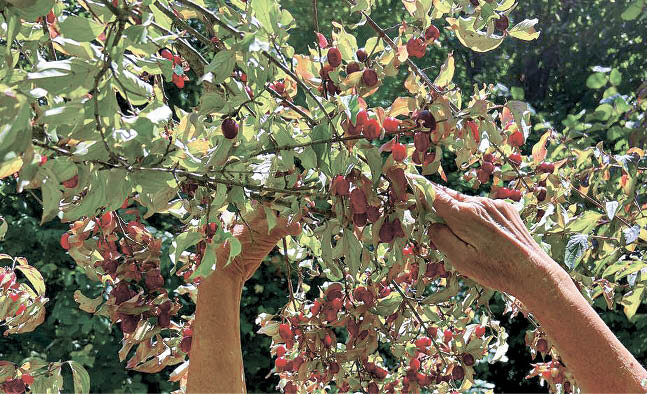 Фото: Анастасия Березовская