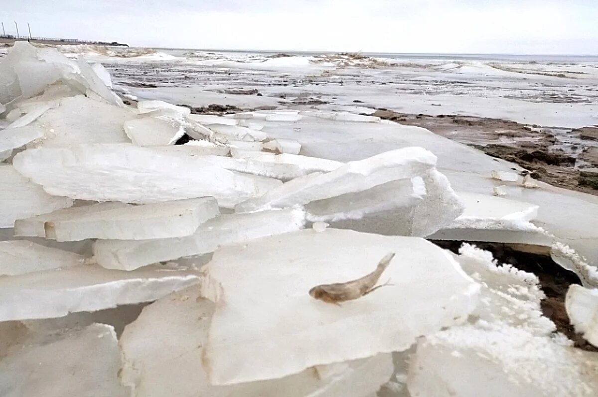    Аномальное потепление может вызвать «ледовые цунами» в Ростовской области