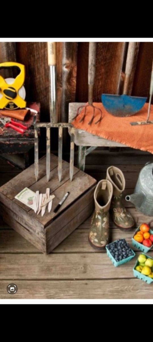 Фото из интернета