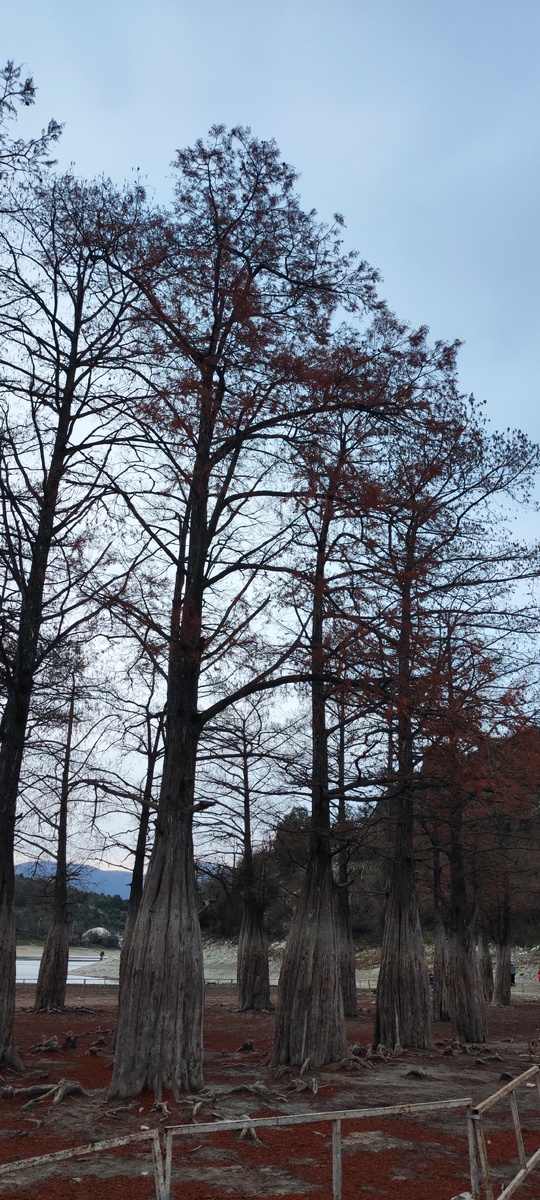 Фото из личного Архива ,Сукко